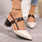 Amada Pointed Toe Heel